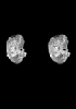 day 28 human embryo MRI animation