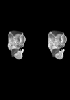 day 37 human embryo MRI animation